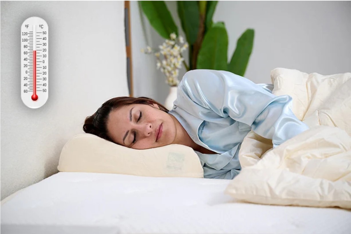 The Difference Between Cotton, Bamboo, and Microfiber Sheets